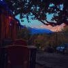 yolo backpackers max manali