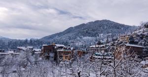 yolo backpackers max manali