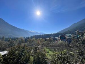 yolo backpackers max manali