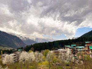 yolo backpackers max manali