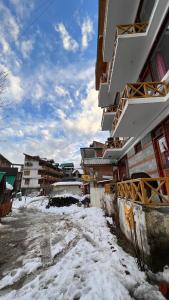 yolo backpackers max manali