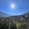 Yolo Backpackers Max - Manali,Old Manali>>Manali,0 star