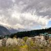 Yolo Backpackers Max - Manali,Old Manali>>Manali,0 star