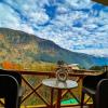 yolo backpackers max manali
