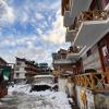 yolo backpackers max manali