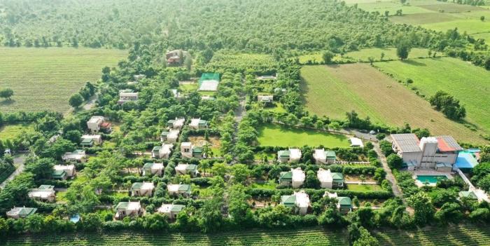 olive resort sillari pench