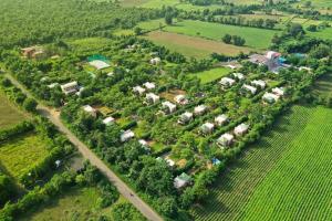 olive resort sillari pench