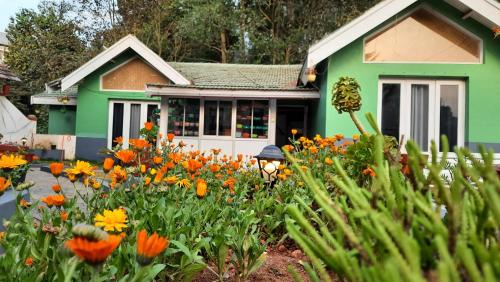 green casa ooty families only