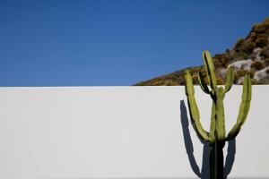 hotel cutimare