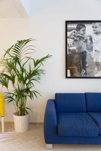hotel cutimare