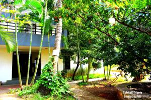 anandvan holiday homes wai