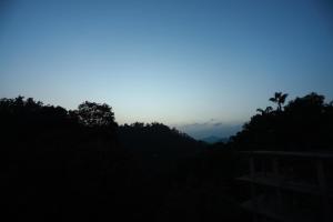 candle wood munnar