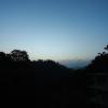 candle wood munnar