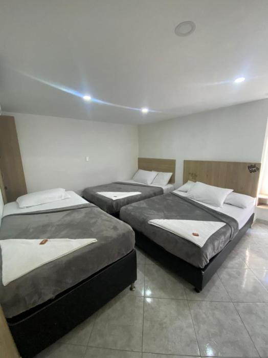 hotel colores boutique