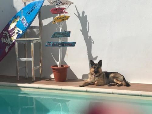 casa encosta da lagoa