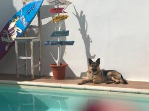 casa encosta da lagoa