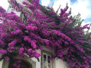 casa encosta da lagoa