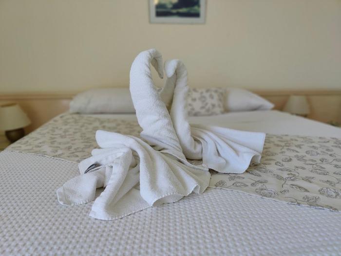new aegli resort hotel