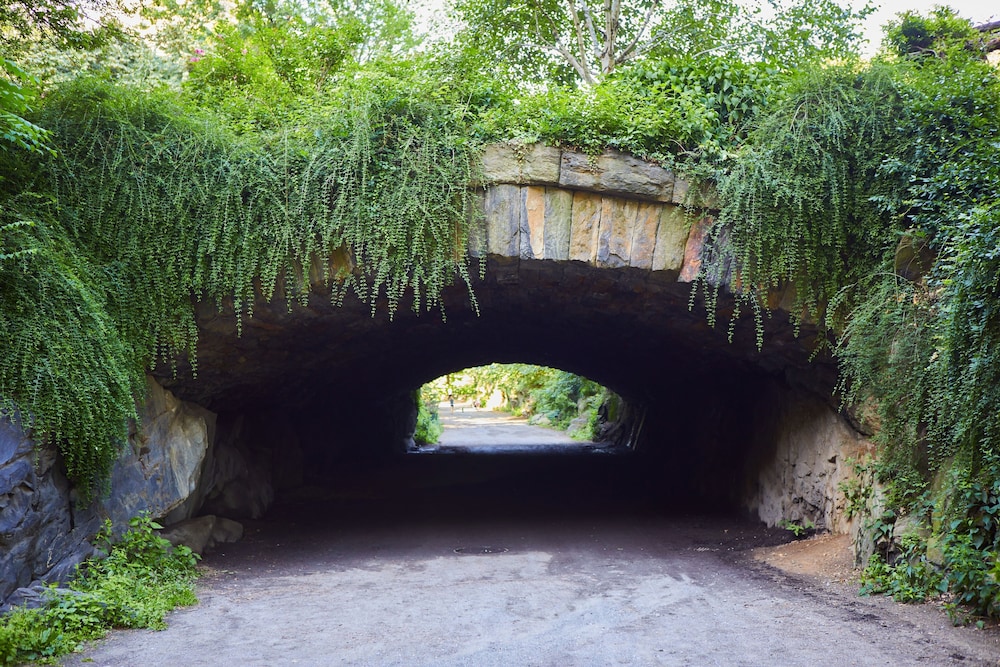 5th and 55th residence club