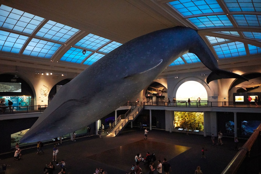 5th and 55th residence club