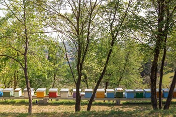 Borgo Il Mezzanino,,5 star