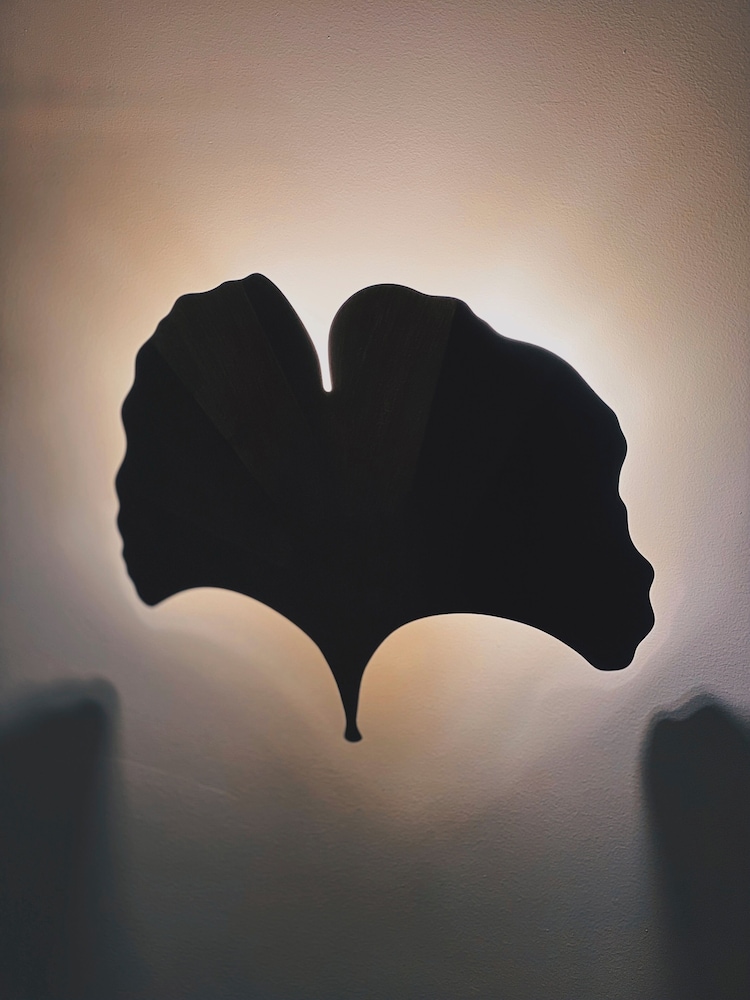 hotel elysees mermoz