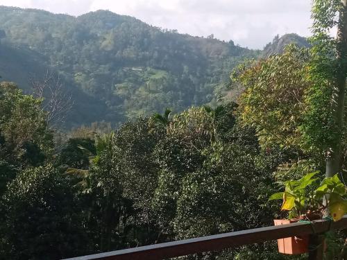 nethsara cottage