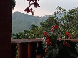 nethsara cottage