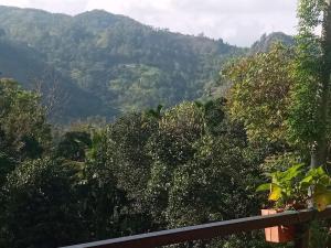 nethsara cottage