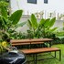 canggu