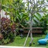canggu