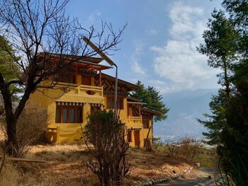 dzi pema
