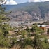 dzi pema