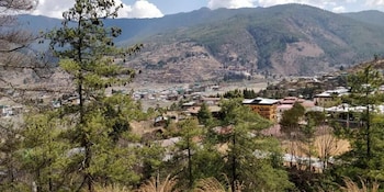 dzi pema