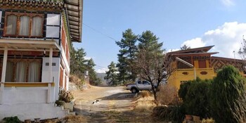 dzi pema