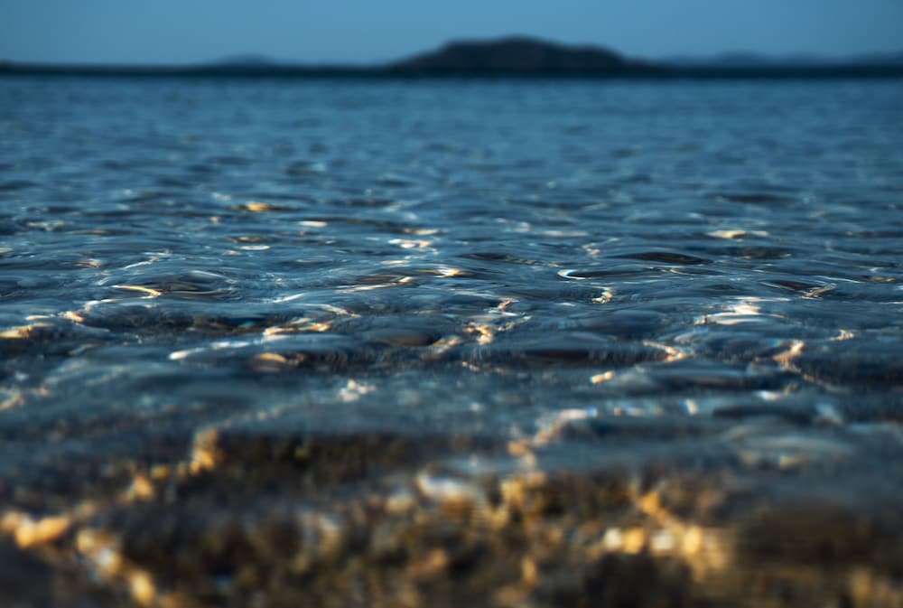 casa bloo adults only