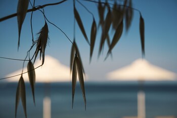 casa bloo adults only