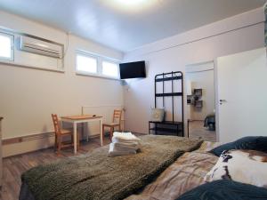 savonlinna rentals
