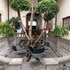 casa aldama