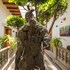 casa aldama