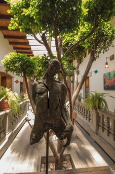 casa aldama