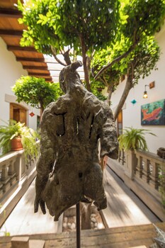casa aldama