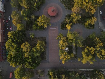 mexico city