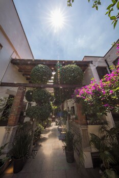 casa aldama
