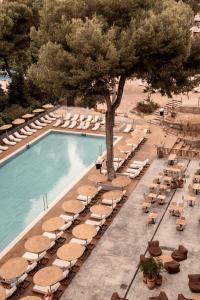 cooks club palma beach adults only 16