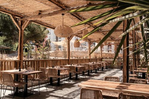 cooks club palma beach adults only 16