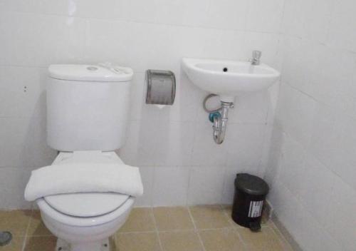 shamrock jogja vivo apartemen