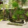 sekar waru homestay