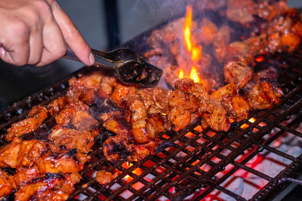 pokhara tourist home