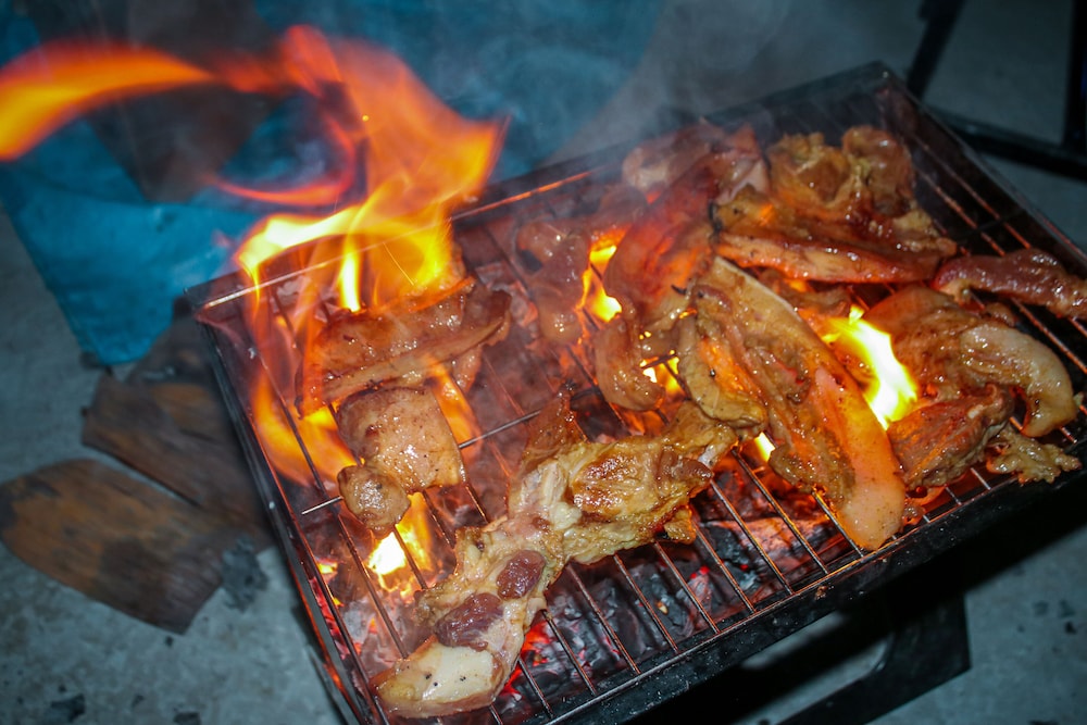 pokhara tourist home